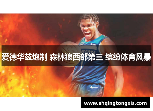爱德华兹炮制 森林狼西部第三 缤纷体育风暴